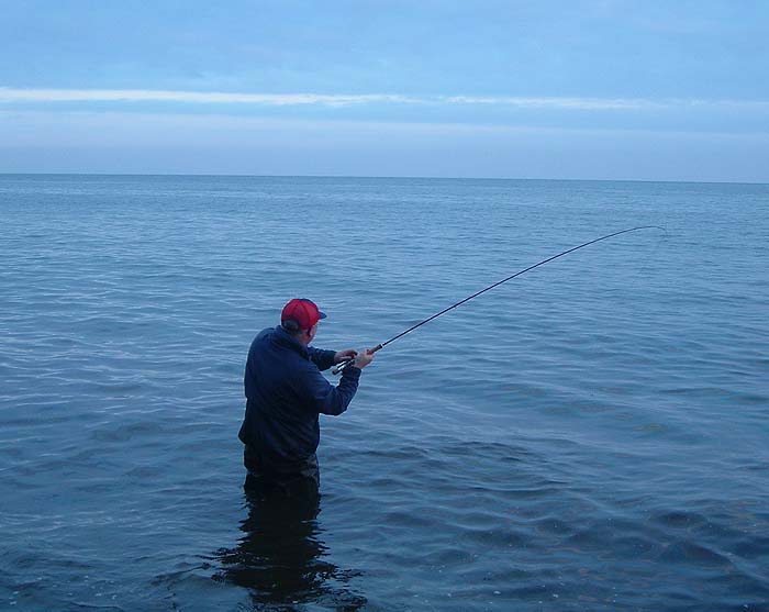 When the fish are on it is all action.