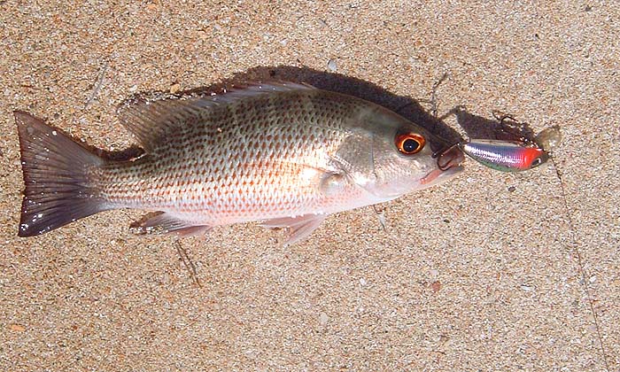 Again no problem on the little plug.