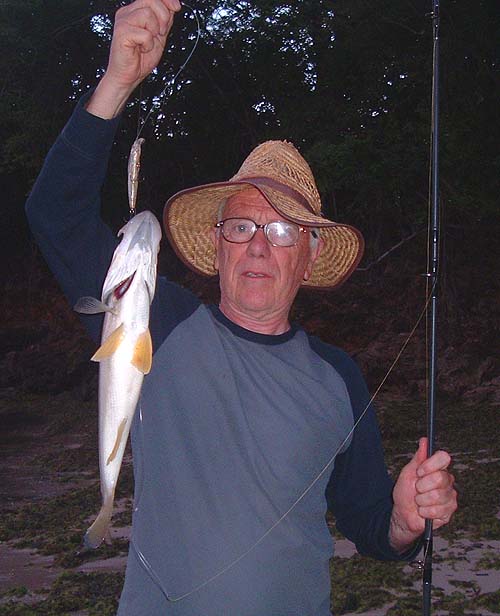 Although I was outfished I did catch some reasonable fish like this snook.