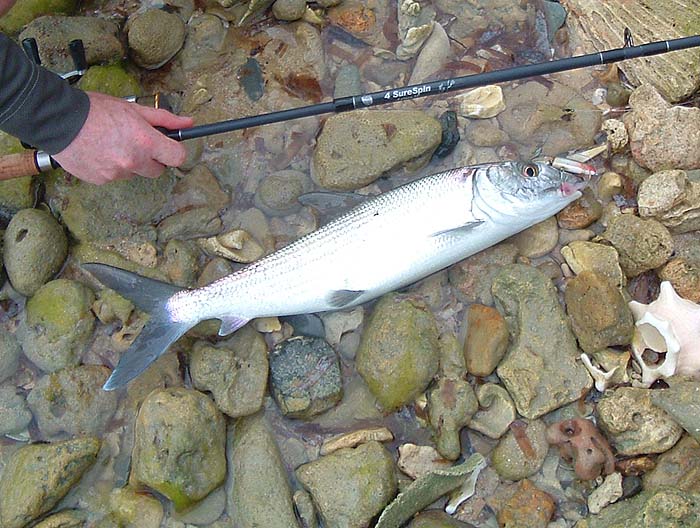 This was one of the smallest ones we landed.