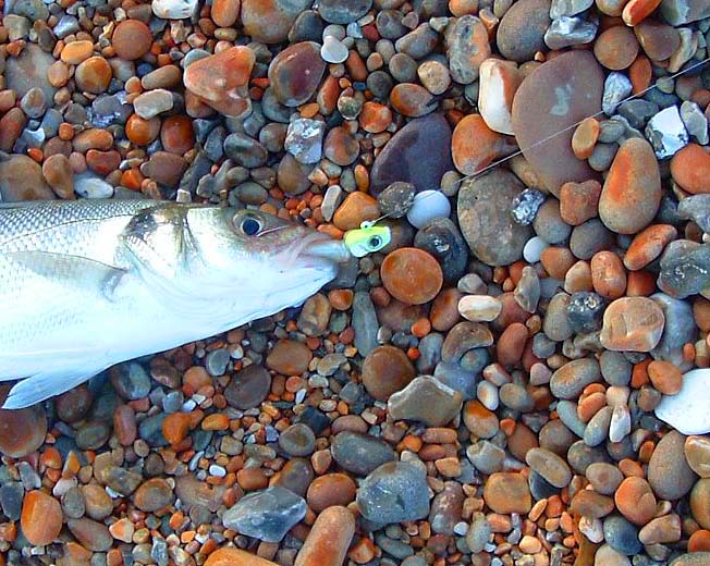 I had several small bass on the same lure. This one meant business.