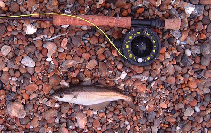 Even in a stiff onshore wind I was able to cast far enough to catch pollack.