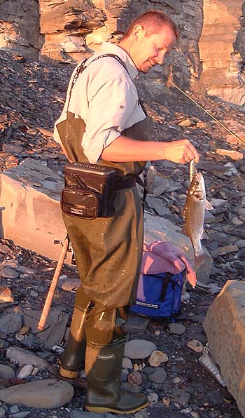 These Marias are excellent bass catchers.