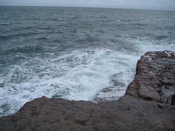 All my takes were in the white water - but could I hook them????