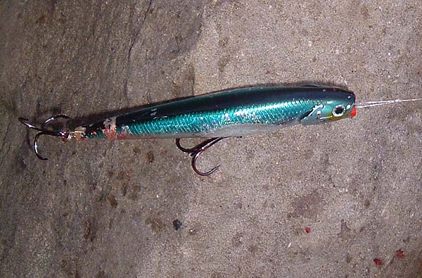 Note the non-slip loop knot used to attach the lure. Just as easy and effective (and cheaper) than any clip.