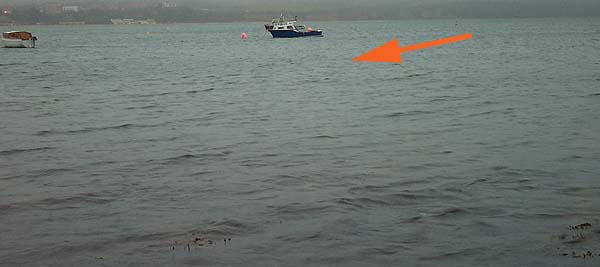 In the gloom I never saw the headline of the net until my lure hit the water and then it was too late.