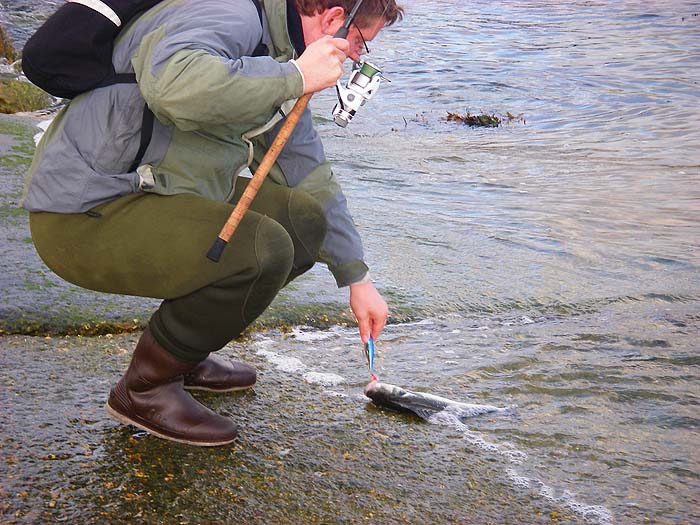 Ben's quite a big bloke so the fish doesn't look as large as if I'd caught it.