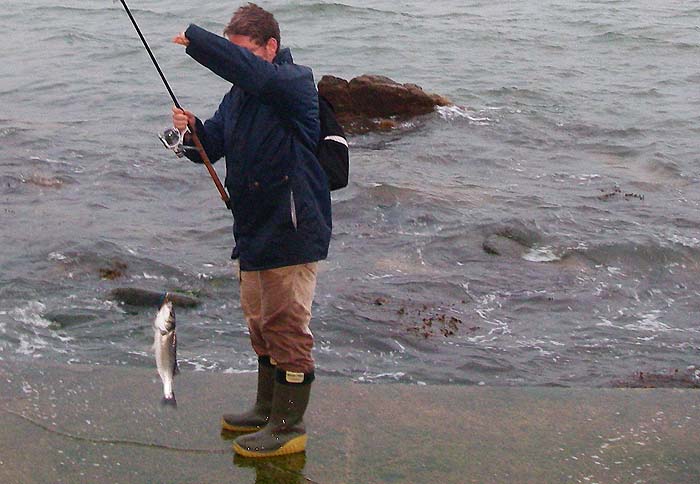 Not a big one but a good pointer as to the whereabouts of others.