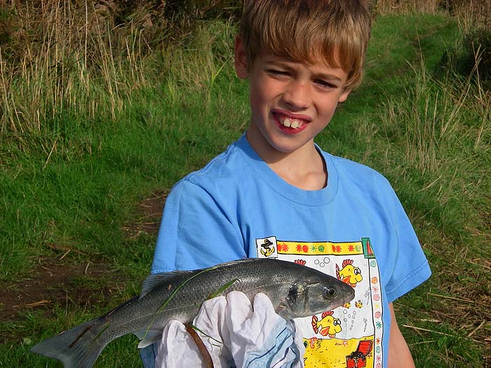 Ben's bass. Note my hanky used as protection from the spiky bits. The hanky was accidentally thrown back with the bass.