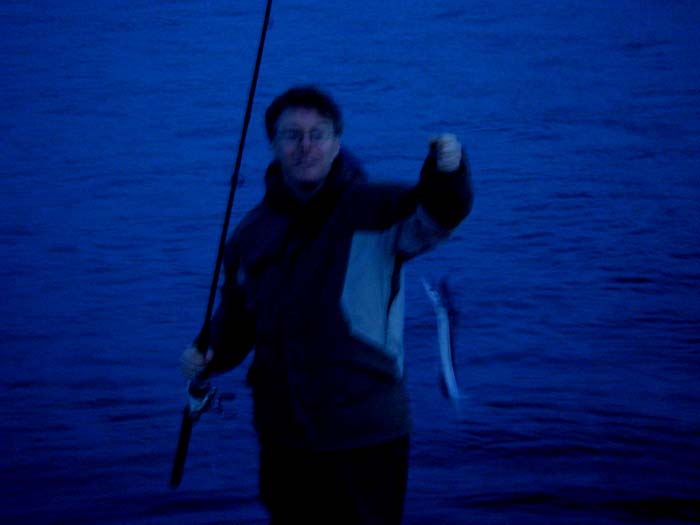 My fault - no flash.