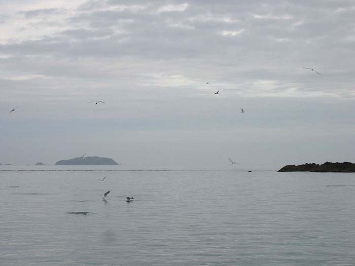 How about that? I wish I was there.