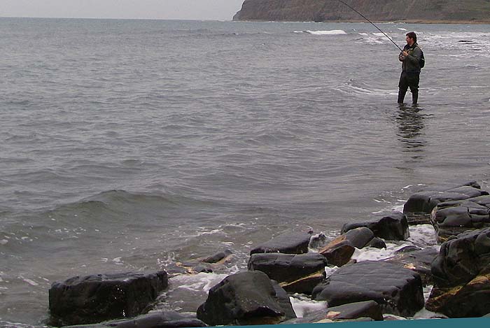 --- and Ben's into yet another fish - is there no justice? I got up at 04.30 too.