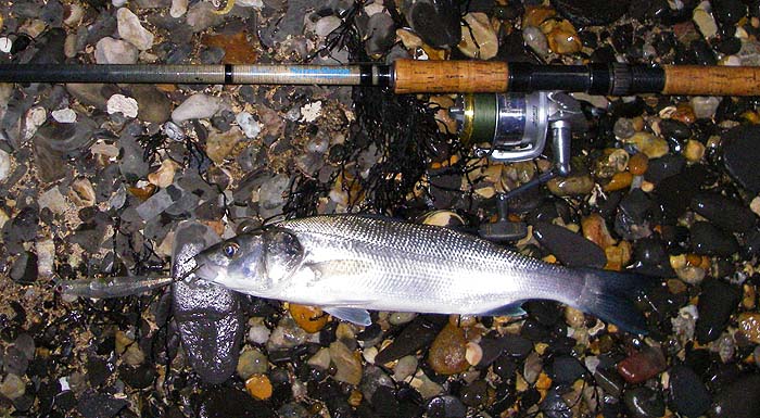 I'm up to seven now so it could be worse.