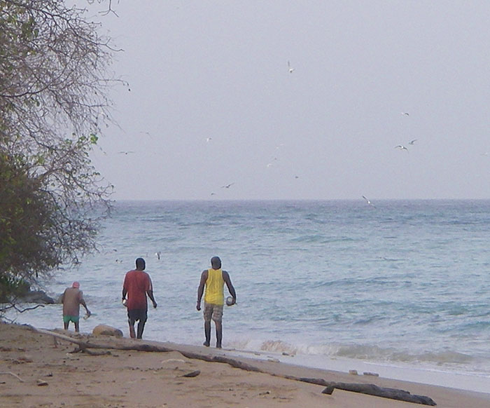 Just before a blitz the birds (and the fishermen) flock to the point where the attack will take place.