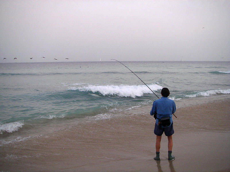 Steve's tarpon powers along in the breaking wave. Note the brown pelicans in the background - diving pelicans are excellent indicators of baitfish shoals.