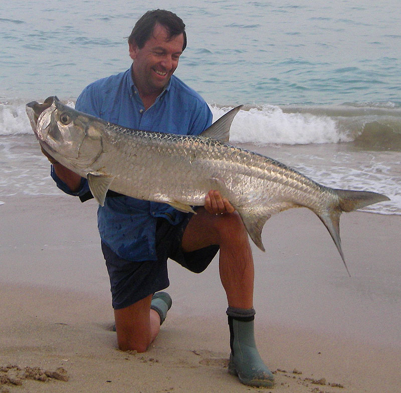 Caught on Steve's 'bass tackle'. Perhaps not the hardest fighters (there's alot of competition for this title) but what a superb fish the tarpon.