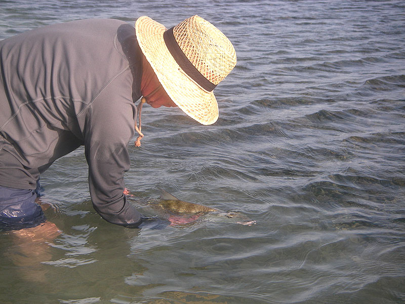 Bonefish often need a bit of a nurse after their titanic struggles.