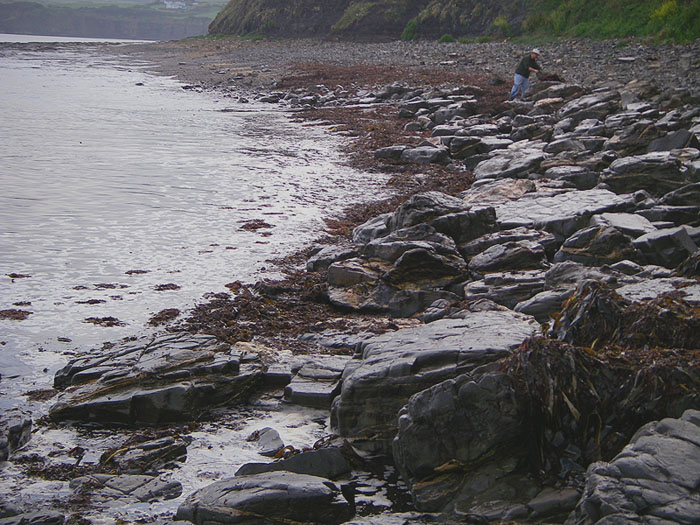 Tony's still well back from the sea's edge sorting out his gear but the smell of the algae filled the entire beach.