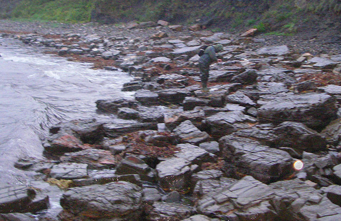 Ben slides his fish ashore.