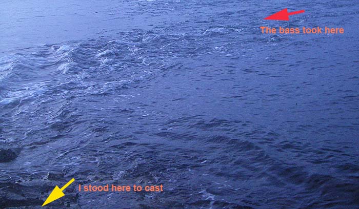 my fish took just beyond the slack water.