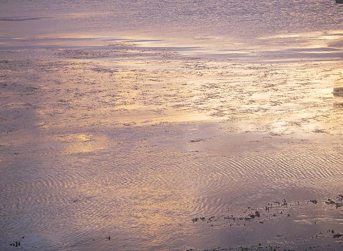 Last year this was all fishable open water.