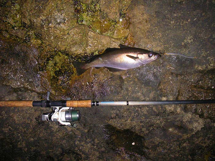 Jack's lure is still in it's mouth.