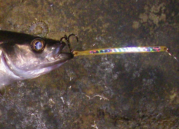 The spoon had dropped out by the time I took the picture. I think that the lure is a work of art.