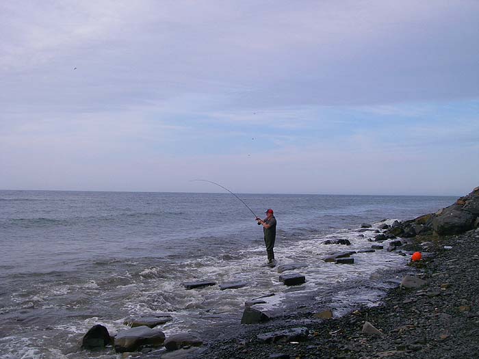 nigel hooks his first bass of the session.