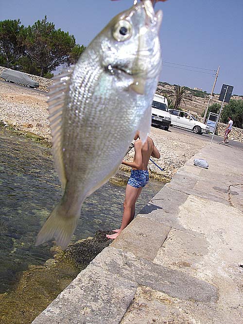 I'm not sure what this is either.