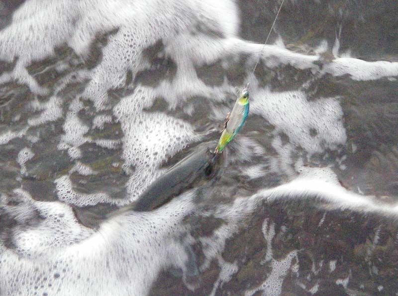 One of Ben's bass slides towards the rocks in a foaming sea.