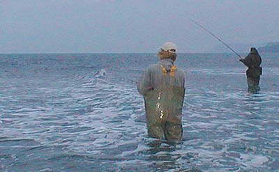 The lads landed a bass and a pollack, both on plugs.