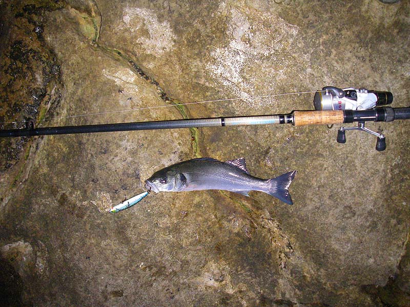 Not big but beautiful as ever.