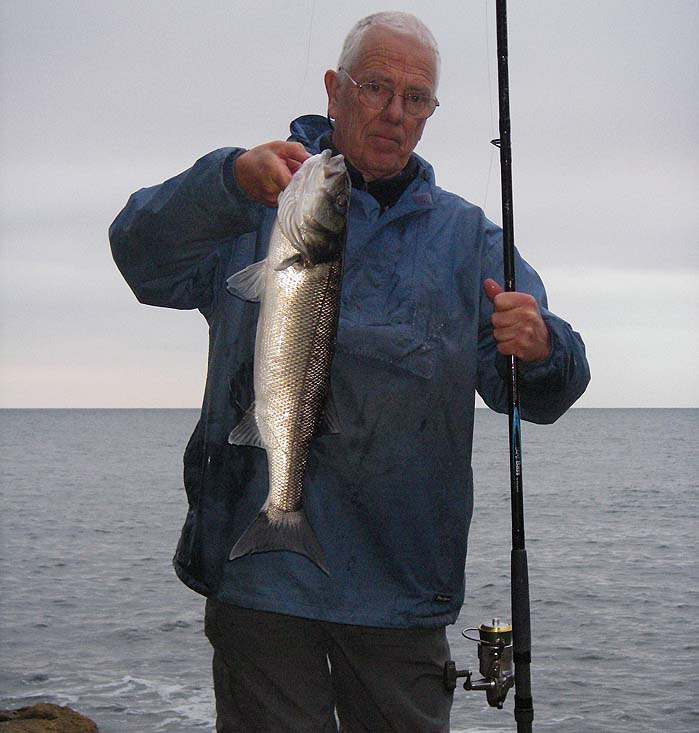 This five pounder had no trouble engulfing a fair sized mackerel - was I pleased?