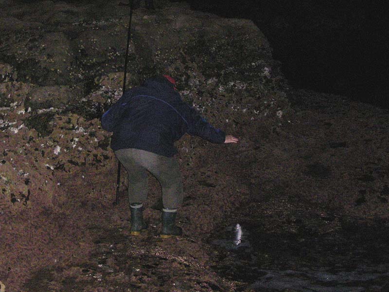 Nigel eases his fish ashore. Perhaps the cameraman didn't catch his 'best side' but who cares.