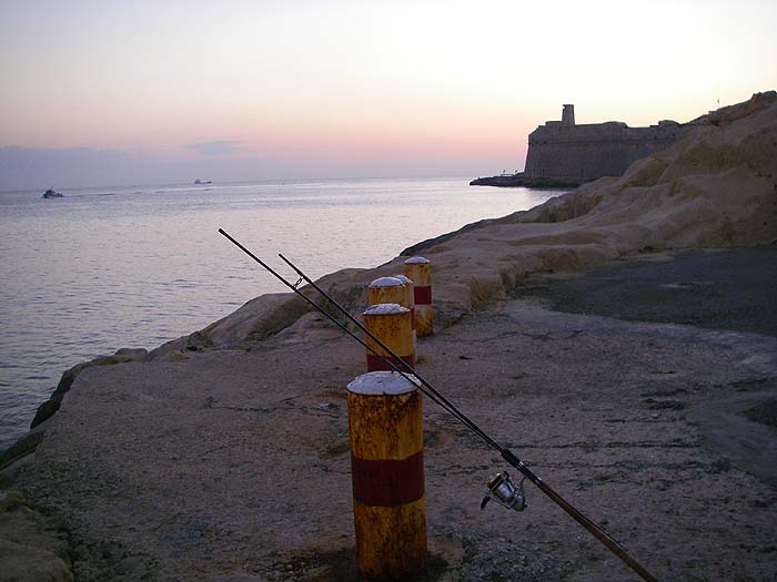 I spun from these rocks every dawn with no result.