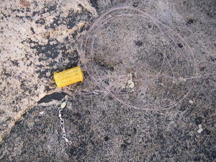 I dredged this two hooked float gear up while I was spinning. The swivels and bead are just as crude and pointless as the stuff people often use over here.