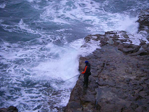 A bit too rough for good mackerel fishing and no sign of any bass.