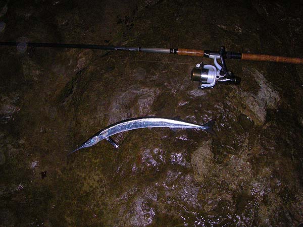 Note the position of the spoon. These fish are not easy to hook.