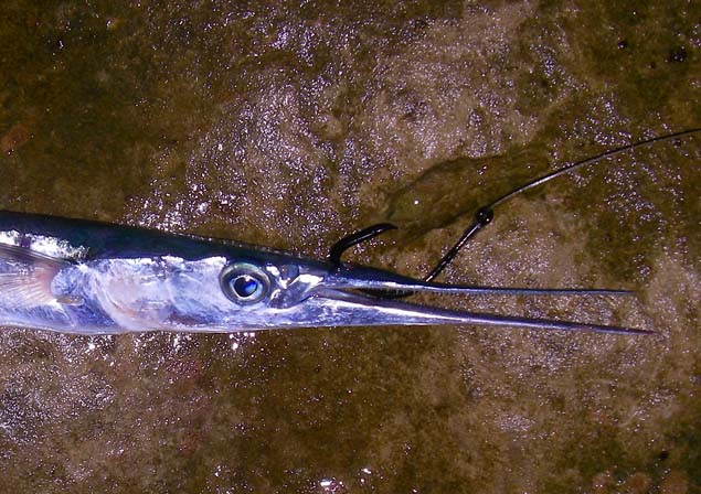 Well I suppose it was worth a try.