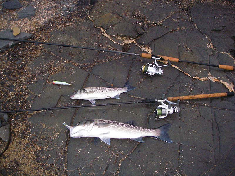 Mine's the smallest of course.