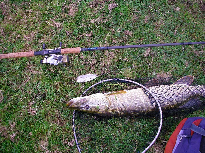 A quick picture and back it goes none the worse.