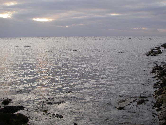 The other morning it was calm and windless. The sea seemed to be full of garfish and nothing else.