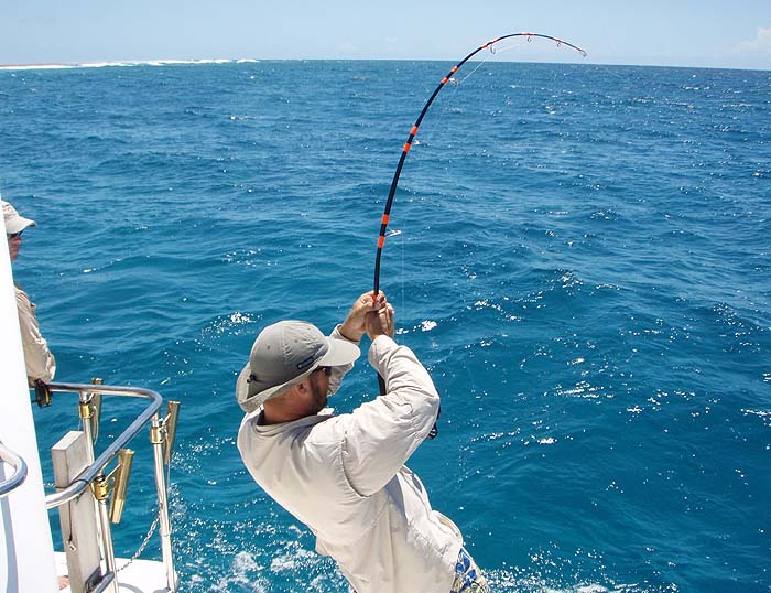 It makes me ache just to look at the picture.