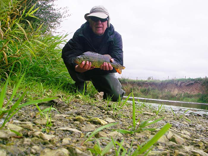 The big perch. I forgot that the sky was behind me - too much contrast. I could have messed about and taken another shot but I don't like to keep fish out of water for too long.