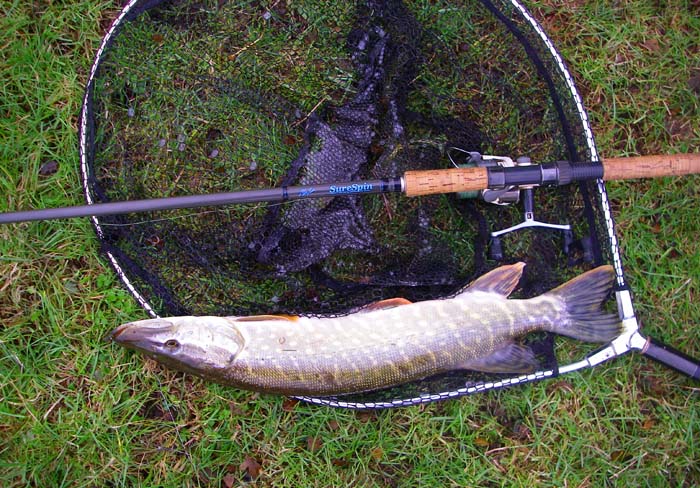 My first pike, landed (on my bass rod) within minutes of dropping a bait into the river.
