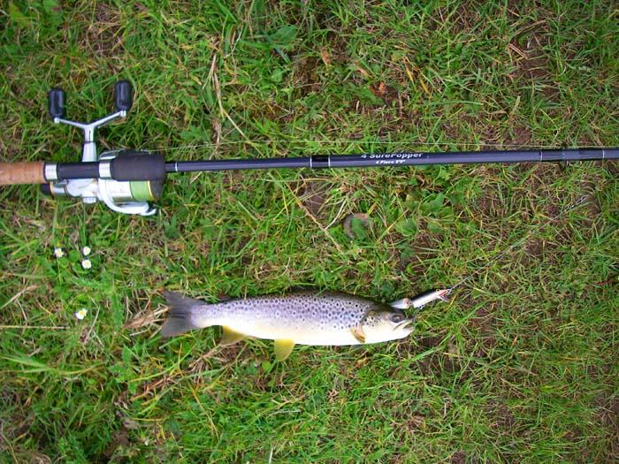 A nice fish on my little Rapala but no match for the tackle used.