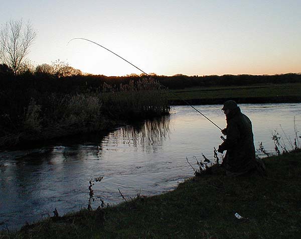 After we'd run out of pike baits nigel tried legering a swim-feeder just as the sun went down.