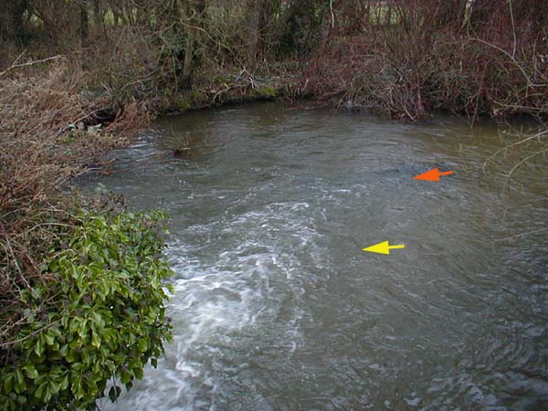 The yellow arrow was the grayling place and the perch came from just in front of the submerged pilings..