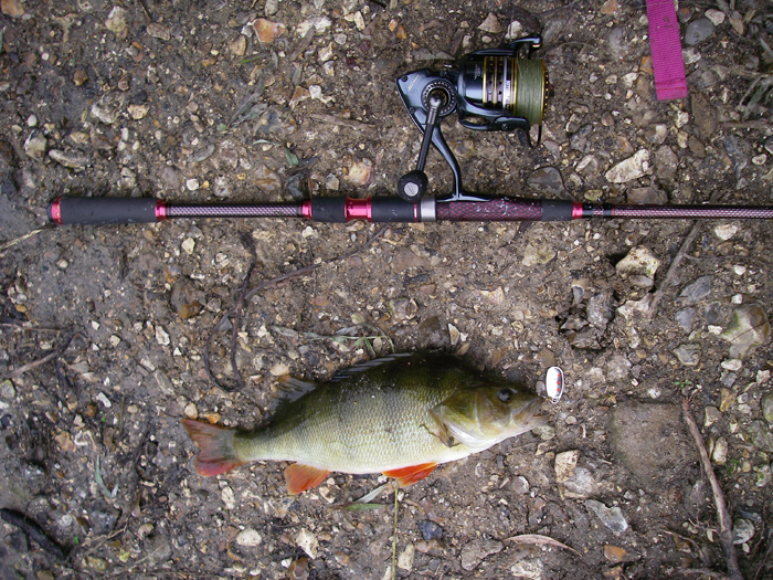 A nice one from the shallow water in the tail of the pool.