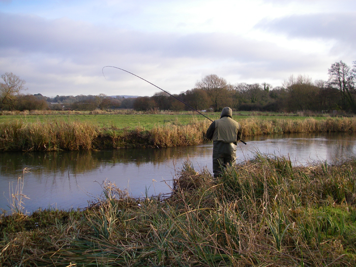 A good grayling puts a bend in the float rod.
